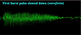 Slowed down burst pulse clicks